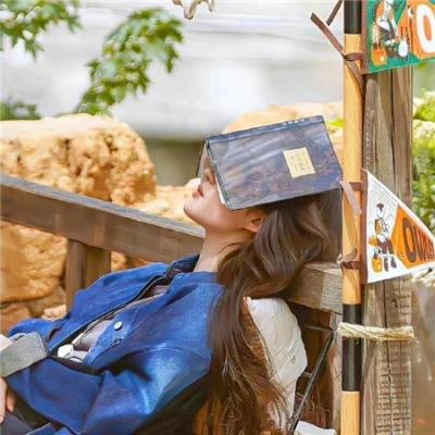书法女孩 舞动甲子园